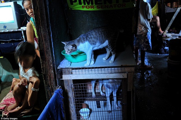 Cuộc sống tại một khu ổ chuột của Philippines 7