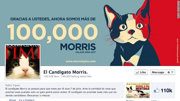 Mexico: Mèo chạy đua tranh cử chức thị trưởng 1