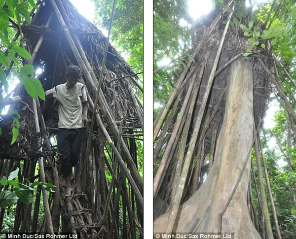 Báo nước ngoài đưa tin về vụ giải cứu "người rừng" của Việt Nam 3