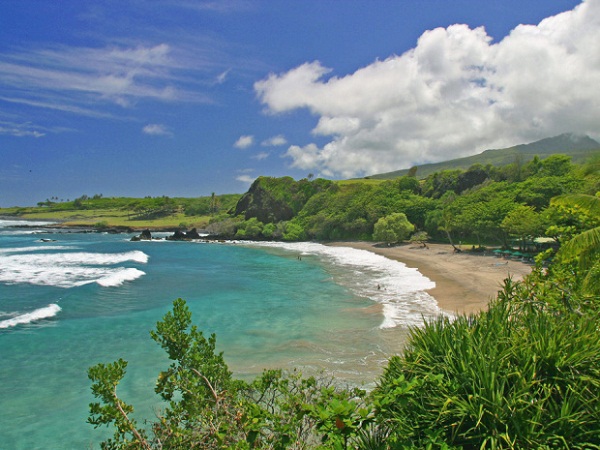 Cá mập nuốt trọn cánh tay du khách tại Hawaii  1