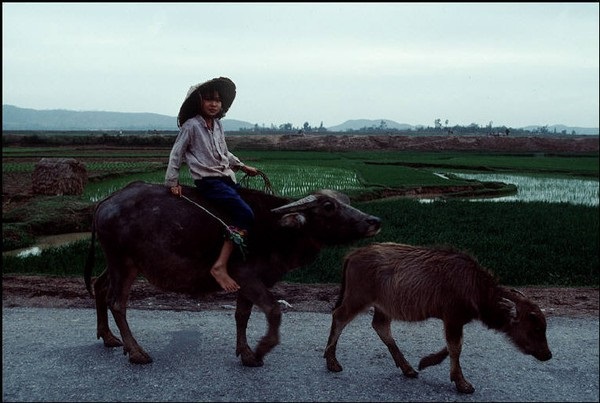 viet-nam-nam-1994-binh-di-qua-ong-kinh-nhiep-anh-gia-phap.jpg