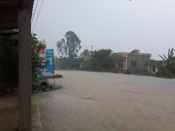 Cảnh ngập trắng do ảnh hưởng của siêu bão số 10 ở Tĩnh Gia, Thanh Hóa 6