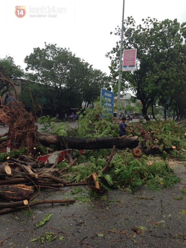 Cập nhật bão số 11: Đà Nẵng - Huế tả tơi trong tâm bão 31