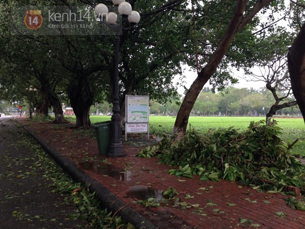 Cập nhật bão số 11: Đà Nẵng - Huế tả tơi trong tâm bão 33