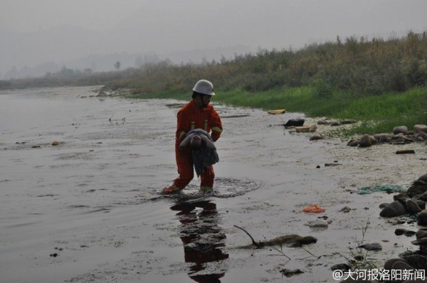 Đôi vợ chồng trẻ cãi nhau, ném con vài tháng tuổi xuống sông 2