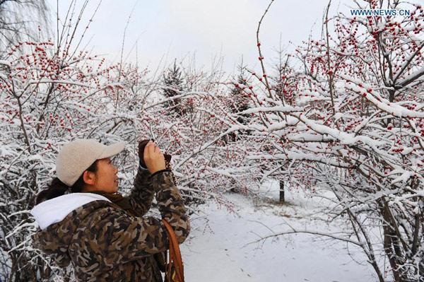 Bão tuyết tồi tệ nhất 50 năm tấn công vùng Đông Bắc Trung Quốc 10