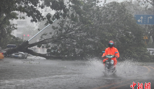 Bão Haiyan hất đổ xe tải ở Trung Quốc 12