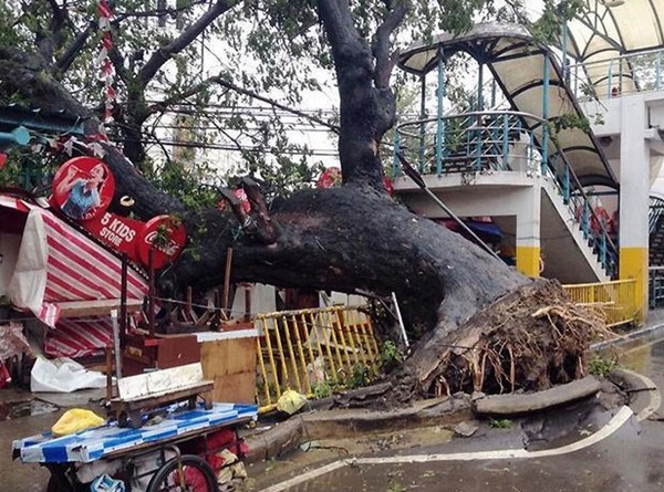 chum-anh-su-tan-pha-kinh-hoang-cua-sieu-bao-haiyan-tai-philippines.jpg