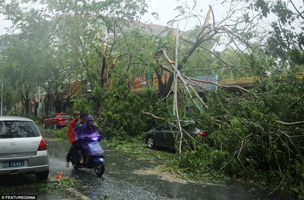 Bão Haiyan hất đổ xe tải ở Trung Quốc 9