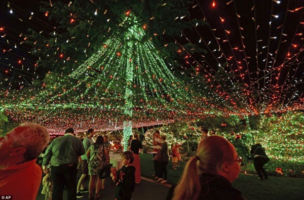 Choáng ngợp trước khu vườn Giáng sinh với nửa triệu đèn màu 2
