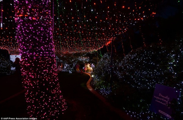 Choáng ngợp trước khu vườn Giáng sinh với nửa triệu đèn màu 8