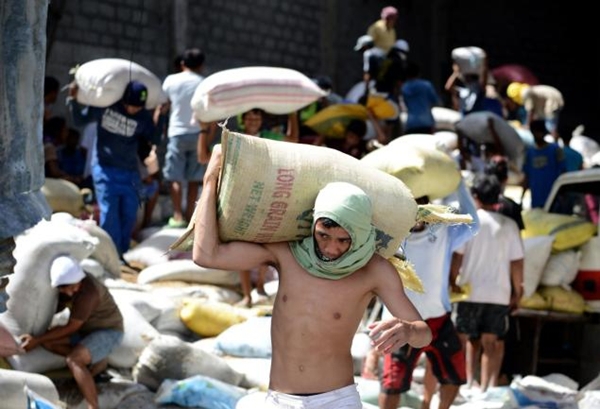 8 người chết khi giành giật gạo sau bão Haiyan 1