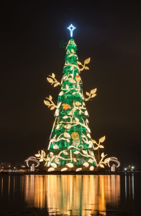 Brazil thắp sáng cây thông Noel nổi lớn nhất thế giới 4