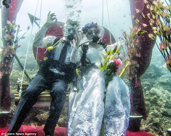 Lễ cưới dưới nước long lanh tại thiên đường Maldives 5