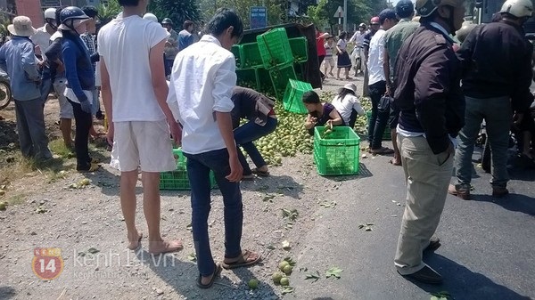 Xe chở qu&yacute;t bị lật ở Đồng nai, kh&ocirc;ng ai "h&ocirc;i của" 2