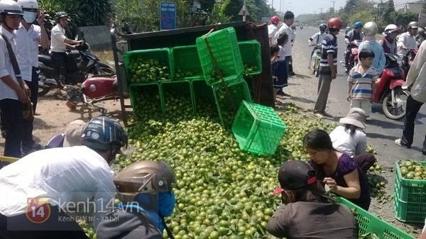 Xe chở qu&yacute;t bị lật ở Đồng nai, kh&ocirc;ng ai "h&ocirc;i của" 4