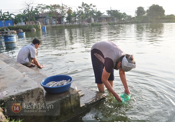 Hà Nội: Cả làng bơm nước ao tù để dùng làm nước sinh hoạt hàng ngày 15