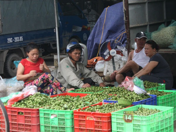 Giật m&igrave;nh những loại hoa quả b&aacute;n ở H&agrave; Nội gi&aacute; chỉ dưới 10.000đ/kg 10