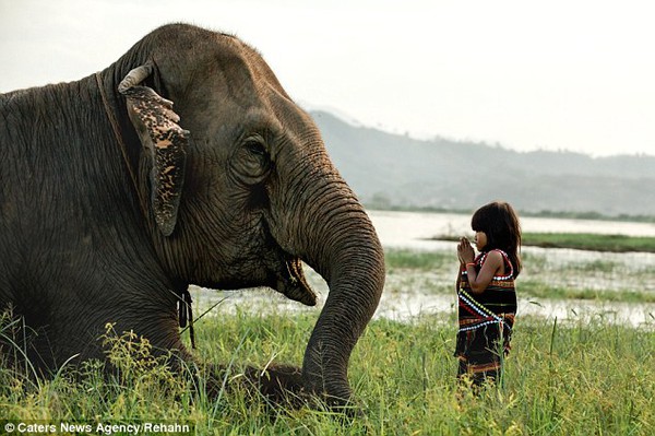 Tình bạn giữa cô bé Việt 6 tuổi với chú voi già lên báo nước ngoài 1