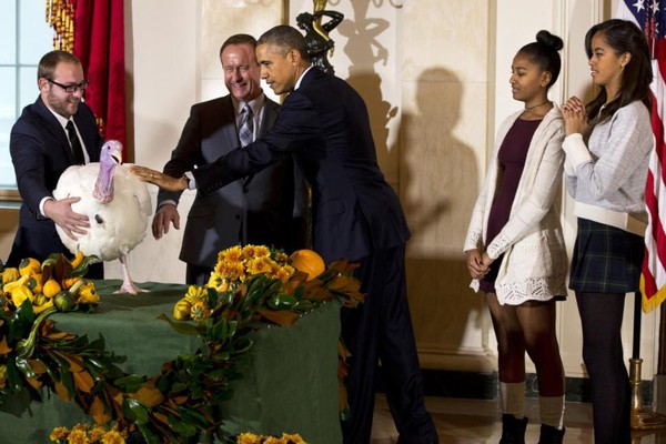 Tổng thống Obama đ&iacute;ch th&acirc;n l&agrave;m lễ &acirc;n x&aacute; cho hai ch&uacute; g&agrave; t&acirc;y 6