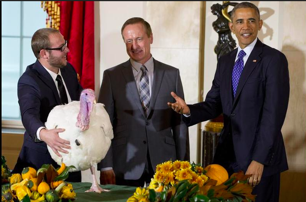 Tổng thống Obama đích thân làm lễ ân xá cho hai chú gà tây 3