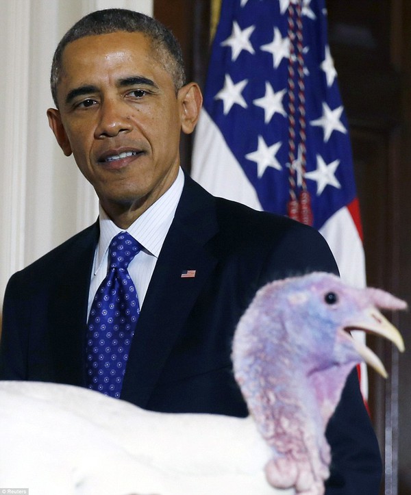 Tổng thống Obama đích thân làm lễ ân xá cho hai chú gà tây 8