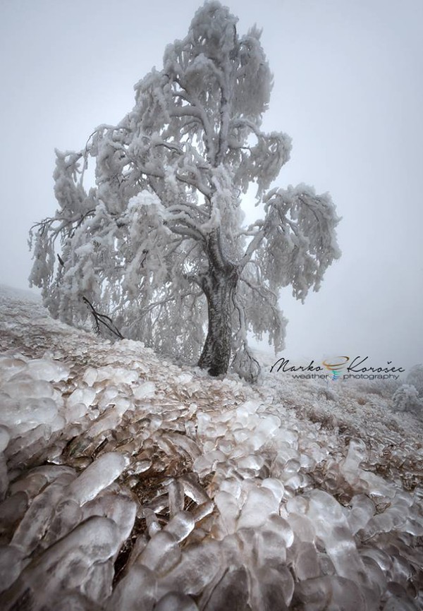 Chùm ảnh: Băng tuyết tuyệt đẹp ở vùng núi Slovenia trong đợt rét kỷ lục tháng 12 9