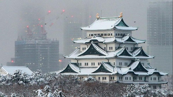 Nhật Bản: Tuyết dày hơn 200cm, ít nhất 11 người chết 3