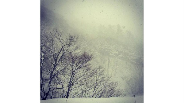 Nhật Bản: Tuyết dày hơn 200cm, ít nhất 11 người chết 8