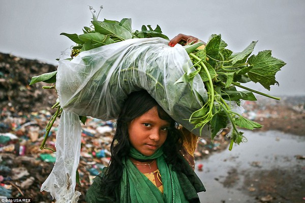 Chùm ảnh những người nghèo Bangladesh vất vả mưu sinh trên bãi rác 2