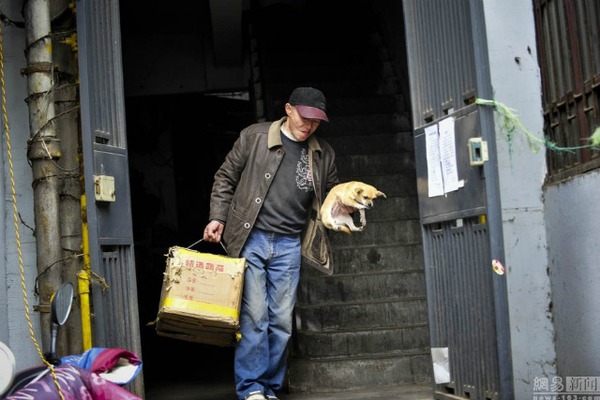 Cặp vợ chồng bán hàng rong sống chung với 60 chú chó mèo bị bỏ rơi 6