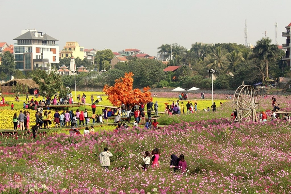 Hà Nội: Dịch vụ ăn theo "hốt bạc" nhờ dòng người nườm nượp đi chụp ảnh với hoa Tết 2