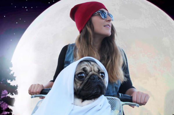 Ch&ugrave;m ảnh ch&uacute; c&uacute;n "cosplay" nổi tiếng tr&ecirc;n Instagram 3