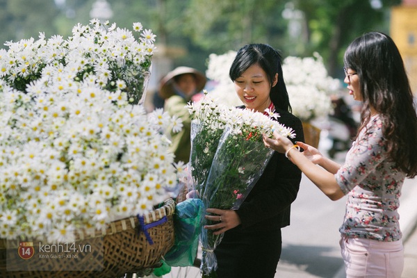 Chùm ảnh: Cúc họa mi bồng bềnh như mây về trên phố Hà Nội 10