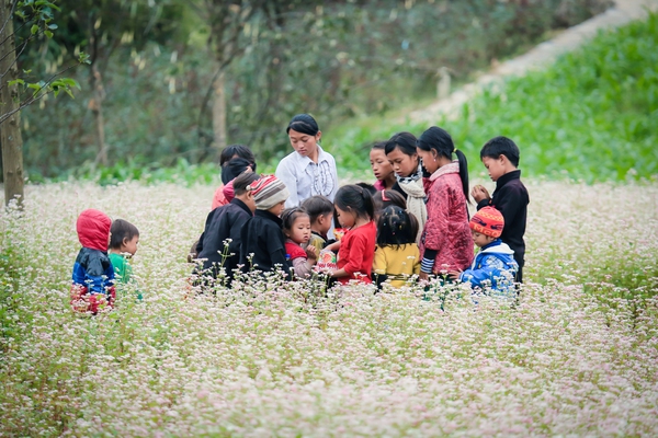 Đẹp đến "nghẹt thở" những mùa hoa trên khắp đất nước mình 27