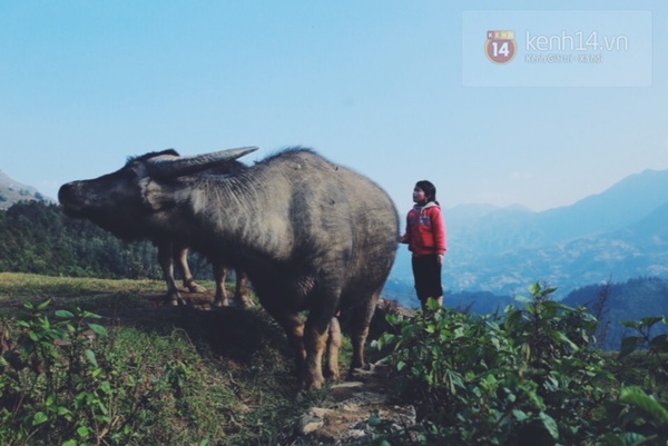 7 lý do khiến bạn phải xách ba lô lên và đi Sapa ngay  16