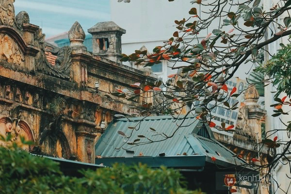 Đẹp như l&aacute; b&agrave;ng đỏ giữa trời đ&ocirc;ng H&agrave; Nội 9