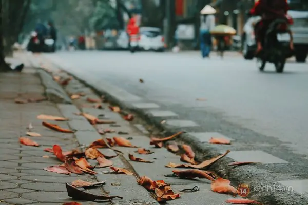 Đẹp như l&aacute; b&agrave;ng đỏ giữa trời đ&ocirc;ng H&agrave; Nội 10