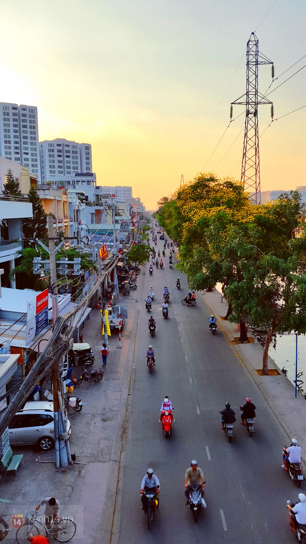 Sài Gòn đẹp rực rỡ những cánh hoa điệp vàng trái mùa 16