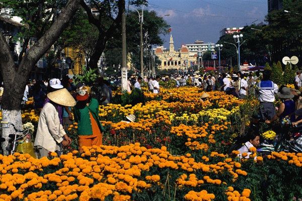 Phòng khách ngày Tết: Hình ảnh phòng khách vào ngày Tết là một trong những bức tranh sinh động nhất về cuộc sống của người Việt Nam. Bạn sẽ được chiêm ngưỡng những trang trí đầy màu sắc, những món ăn đặc trưng và những khoảnh khắc đầy hạnh phúc trong gia đình ngày Tết.