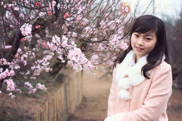 Giới trẻ Hà Nội chen chúc chụp ảnh ở vườn đào Nhật Tân 9