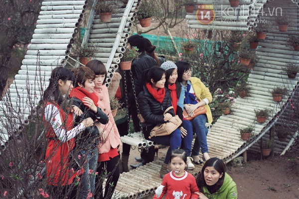 Giới trẻ Hà Nội chen chúc chụp ảnh ở vườn đào Nhật Tân 15
