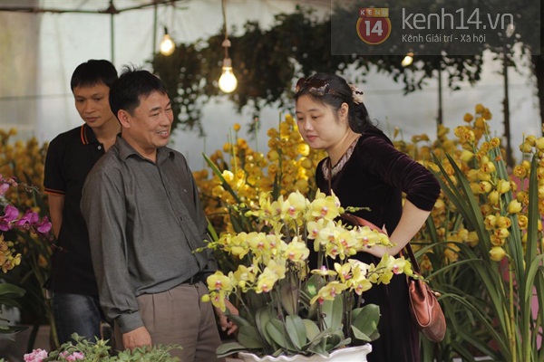 thi-truong-hoa-tet-cay-dat-e-hang-cay-nho-len-ngoi