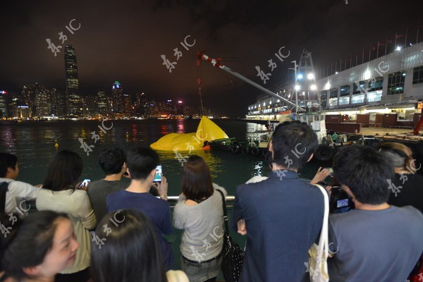 Chú vịt vàng khổng lồ ở Hongkong đột nhiên... bị xịt 9