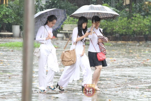 Teen Hà Nội đội ô dự lễ khai giảng dưới mưa 2
