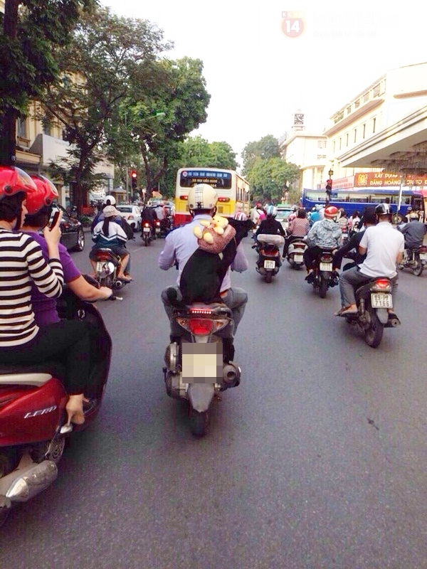 Chú chó siêu cute đeo balô gấu bông gây sốt đường phố Hà Nội 6