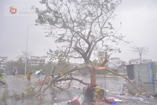 Cập nhật bão số 11: Đà Nẵng - Huế tả tơi trong tâm bão 18