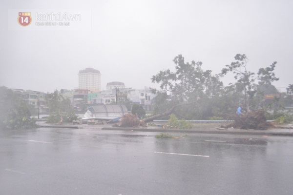 Cập nhật bão số 11: Đà Nẵng - Huế tả tơi trong tâm bão 21