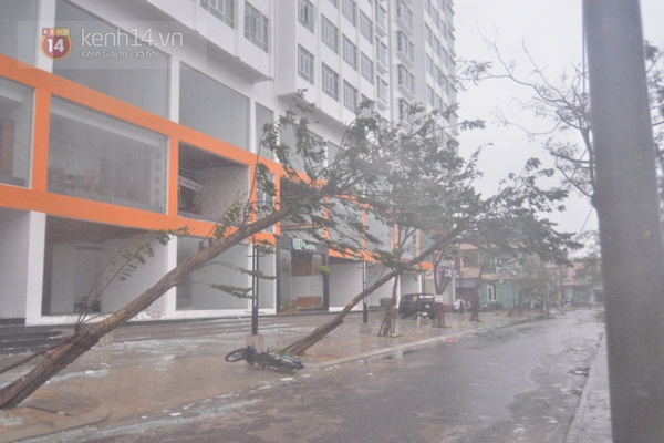 Cập nhật bão số 11: Đà Nẵng - Huế tả tơi trong tâm bão 20