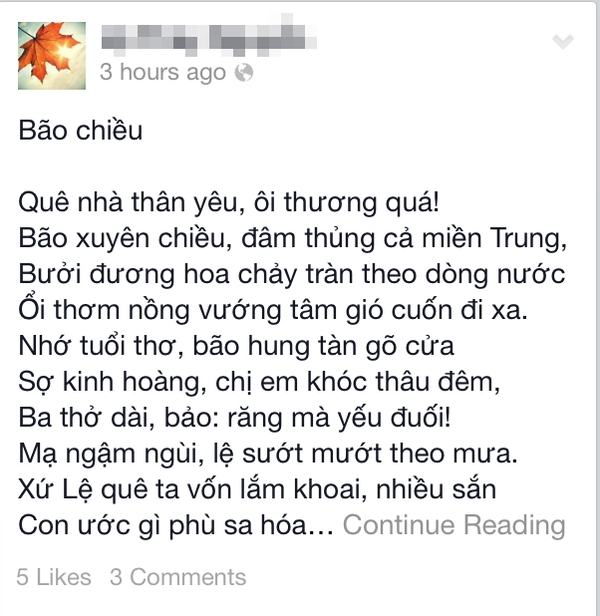 Cư dân mạng đang hướng về tâm bão miền Trung 2